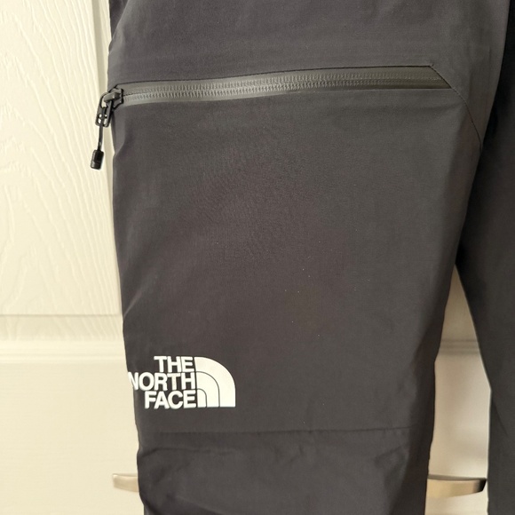The North Face Chamlang Summit Series Chamlang Futurelight Pants Size Large - Picture 2 of 7